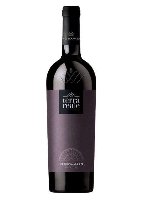 Vino Rosso Negroamaro - "Terra Reale" - 75 cL
